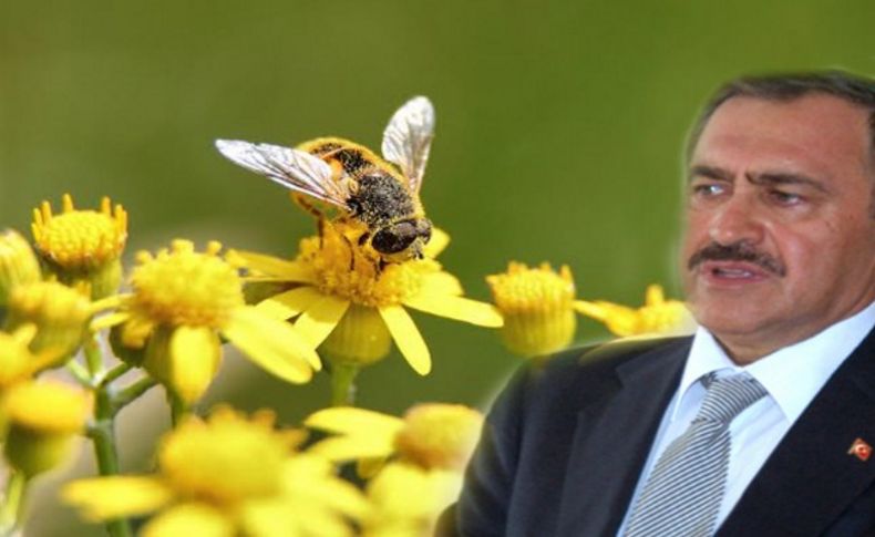 İzmir'da arı safari başlatıldı